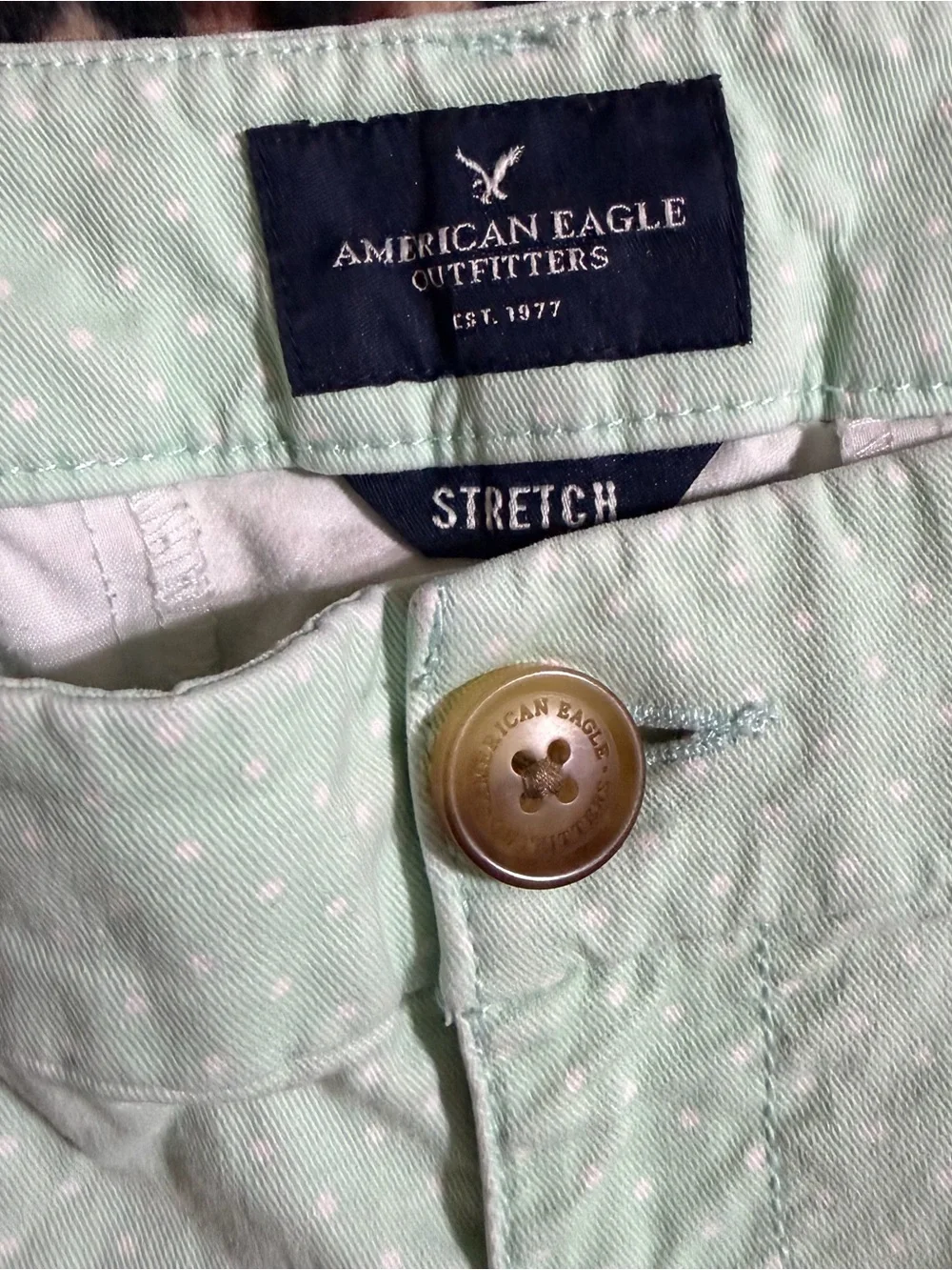 2000s vintage style American Eagle whimsical green polka dot low rise shorts